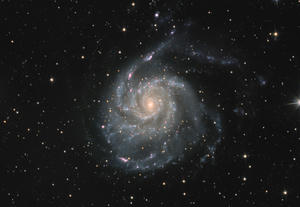 A galaxy, rather like a pinwheel, set in a field of stars