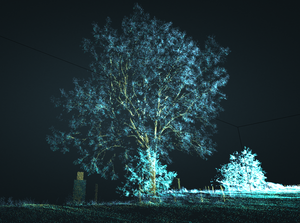 A laser scan of a tree, with leaves picked out in blue dots and a yellow trunk